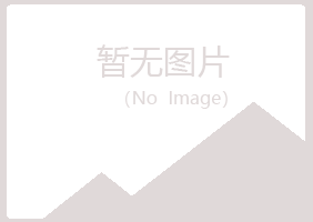 宁夏山柏采矿有限公司